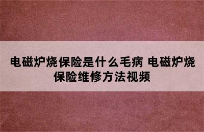 电磁炉烧保险是什么毛病 电磁炉烧保险维修方法视频